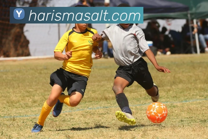 MKSports官方网站入口平台生态图